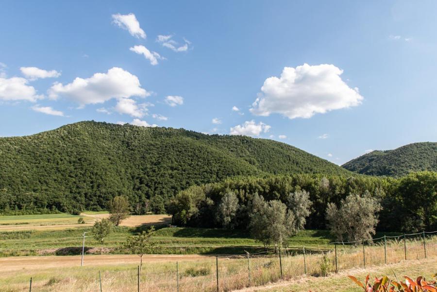 Il Colombaio Agriturismo Montegabbione Exteriér fotografie