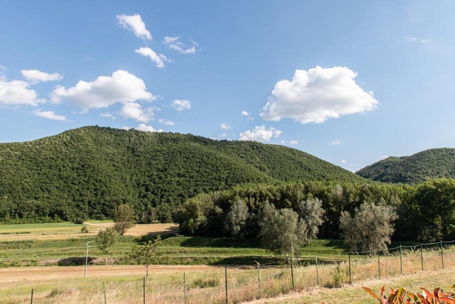 Vila Il Colombaio Agriturismo Carnaiola Exteriér fotografie