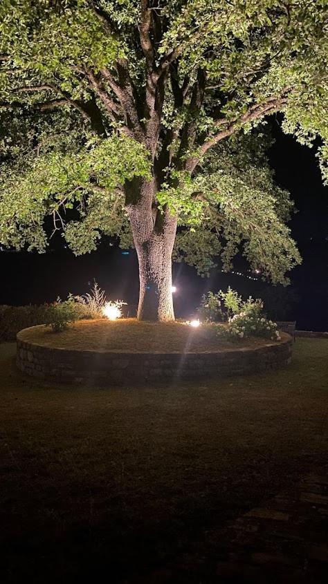 Il Colombaio Agriturismo Montegabbione Exteriér fotografie