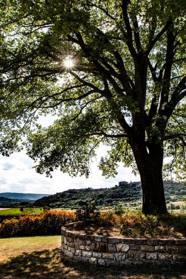 Il Colombaio Agriturismo Montegabbione Exteriér fotografie